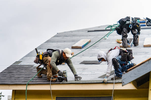 Professional Storm Damage Roof Repair technician working in Randall, MN